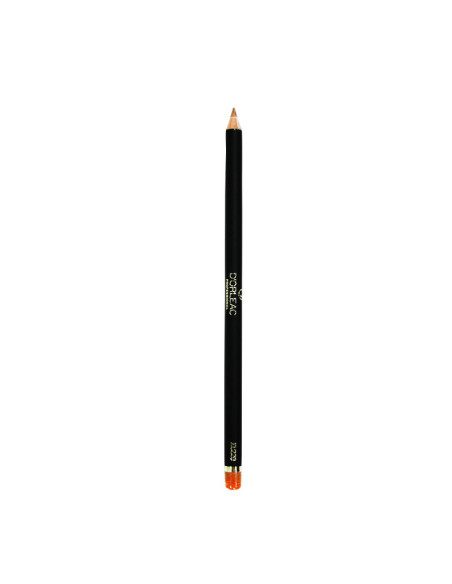 Lapiz Ojos Y Labios Dorleac Nº 6