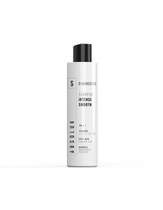 Champú Lisos Absoluk Diagnostic Intense Smooth 300Ml 2