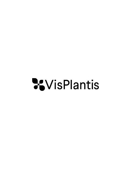 VISPLANTIS